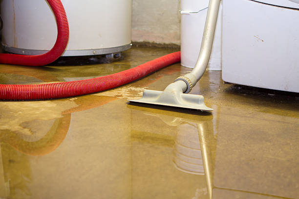 Trusted Gravette, AR Water damage restoration Experts