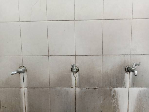 Best Professional water damage repair  in Gravette, AR